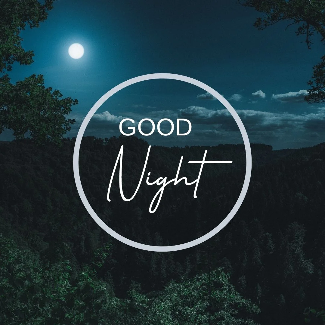 100+ Good night Quote Images frew to download 17